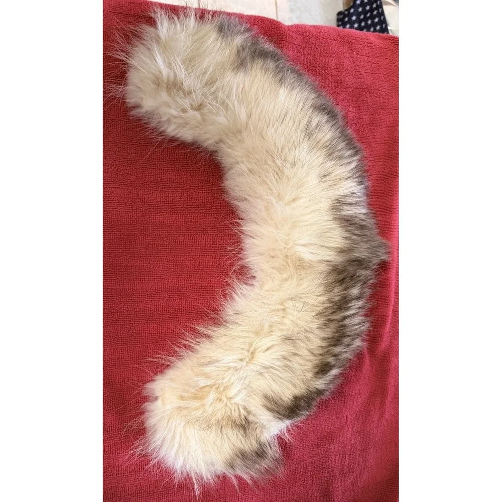 Vintage Blue Fox Fur Collar Cream With Brown Tips Detachable 18